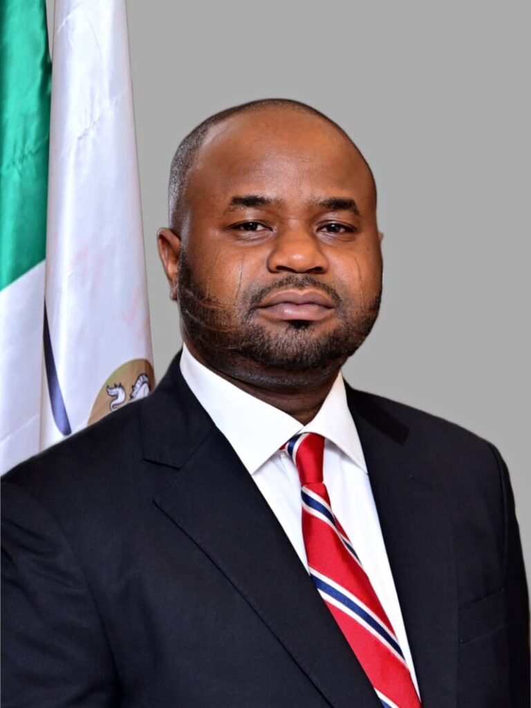 Borrowing Not a Weakness – FIRS Boss Defends Govt Loans