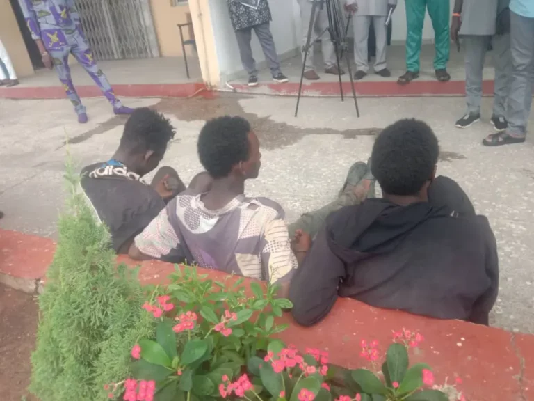 Three Cattle Rustlers Nabbed in Abia