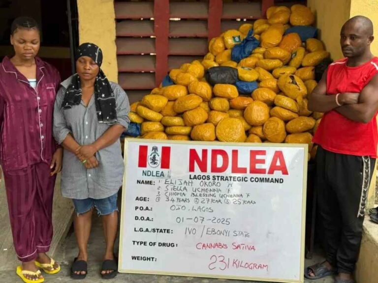 NDLEA, DSS Bust Family-Run Drug Syndicate in Lagos