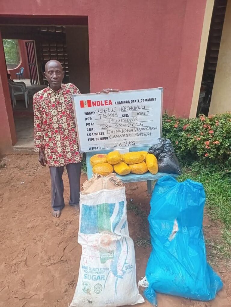 75-Year-Old Grandpa, Drug Lords, Farmers Nabbed in NDLEA Raids
