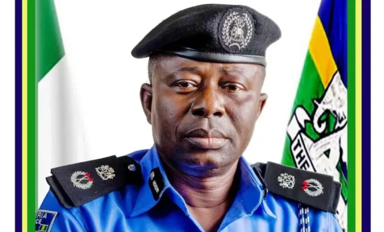 Police: Illegal Mining Funding Bandits, Draining Nigeria of \$9bn Annually