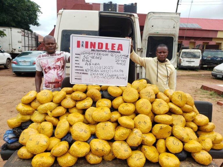 NDLEA Arrests Drug Kingpin in Delta, Seizes N7.8bn Worth of Opioids