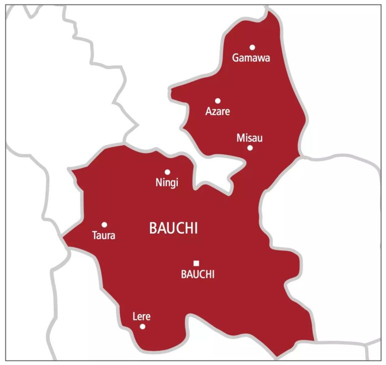 Hunt On for Other Suspects After Viral Abuse Video in Bauchi