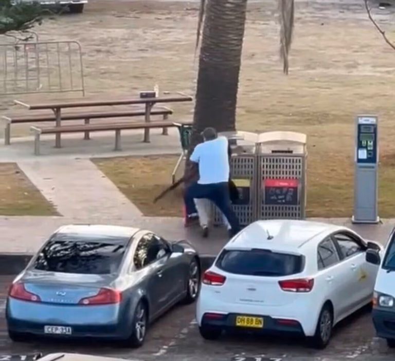 Unlikely Hero: How Fruit Shop Owner Disarmed Gunman During Australia’s Bondi Massacre