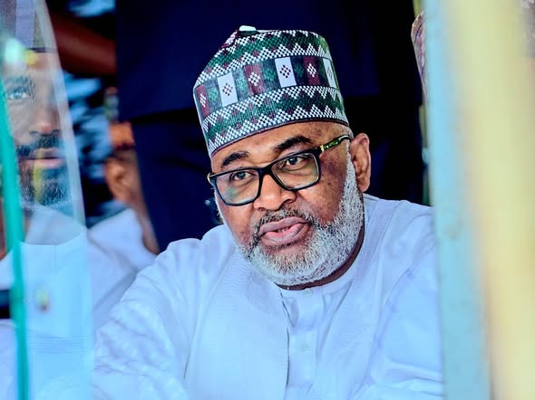 Taraba Bridge Controversy: Minister Heads to Court Over N16.5bn Diversion Claim