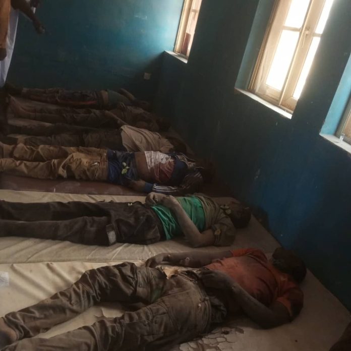 Six Youths, National Park Worker Killed in Bandits’ Attack in Niger Community