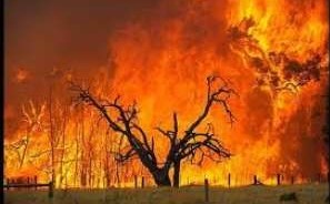 bush fire Photo modernghana 3