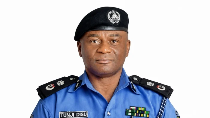Tinubu Appoints Disu Acting IGP