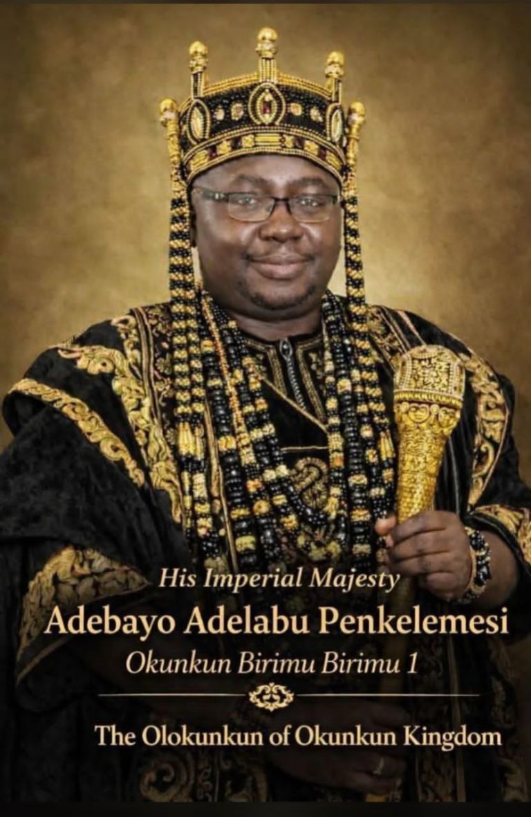 Nigerians Mock Power Minister Adelabu Online Over Persistent Electricity Crisis