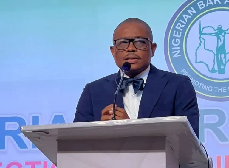NBA Warns Courts, Lawyers to Stay Out of Party Crises