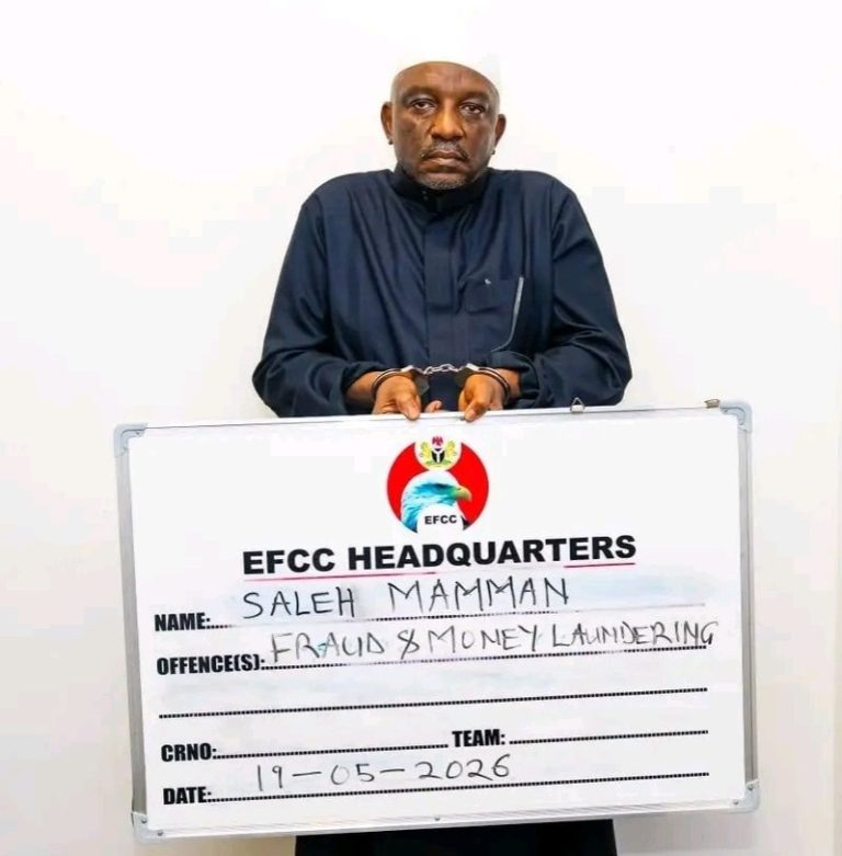 EFCC Nabs Ex-Power Minister Mamman Over N33.8bn Fraud