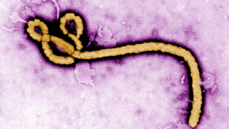 Ebola Scare: LAWMA Directs Hospitals to Strengthen Safety Protocols