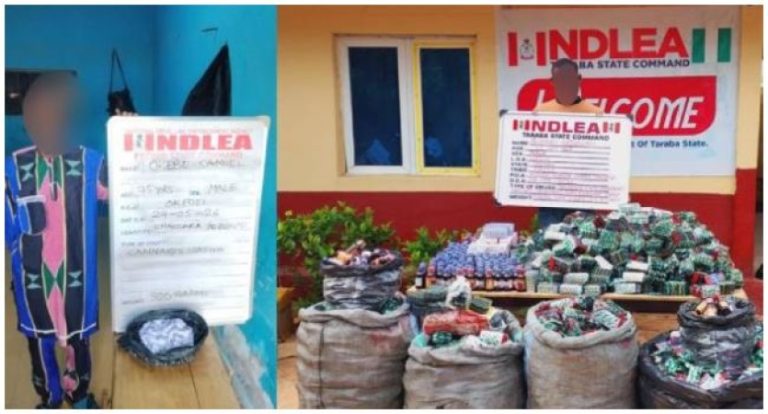 Nationwide Crackdown: NDLEA Seizes Narcotics, Makes Multiple Arrests