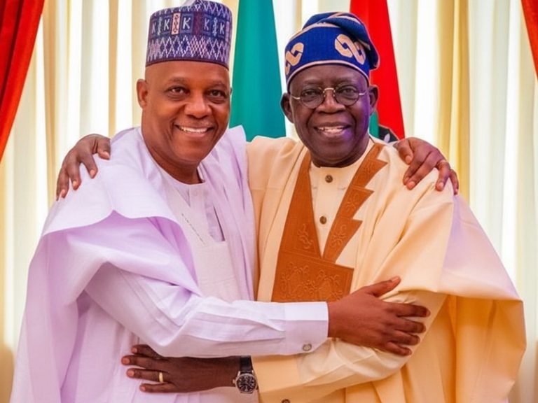 Tinubu Hands Shettima APC VP Certificate for 2027 Poll